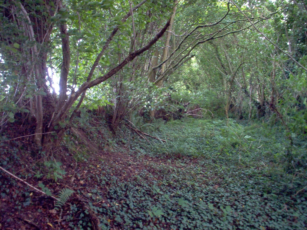 20110000 LA PAVÉE Pont-Farcy 30.jpg - IM000290.JPG
